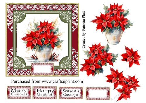 Christmas Red Poinsettias #4
