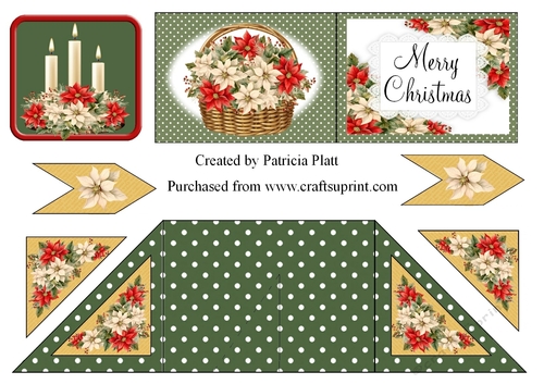 Christmas Poinsettia Criss Cross Card