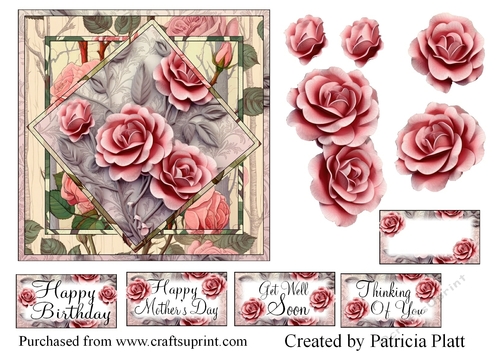 Pink Roses Square in Squares for Various Occasions