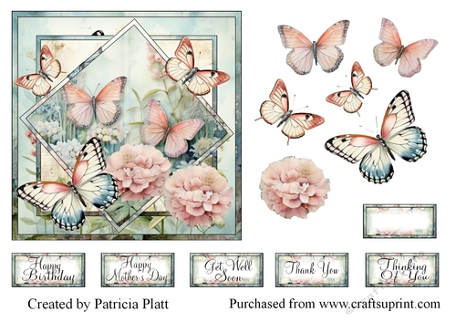 Butterflies and Flowers Square in Squares Various Occasions