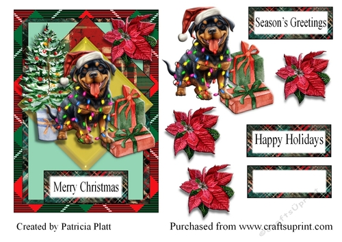 Christmas Rottweiller