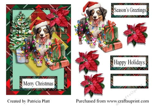 Christmas Border Collie