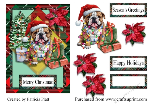 Christmas Bull Dog