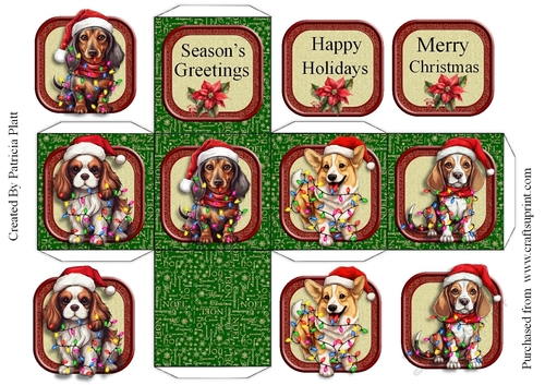 Cute Christmas Dogs Green Box