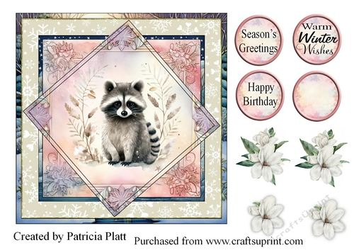 Winter Raccoon 7x7 Square in squares