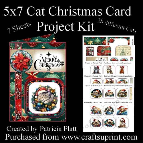 5x7 Christmas Cat Project Kit