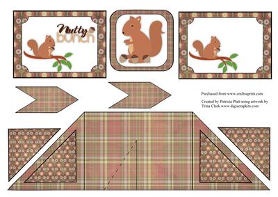 Criss Cross Pocket Nutty Squirrel Card