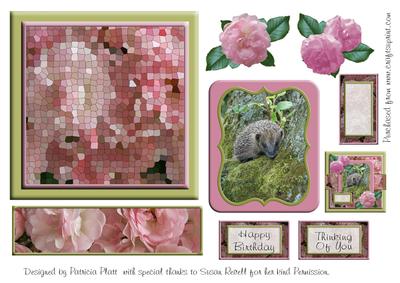 Hedgehog and Pink Roses Square Layered Topper