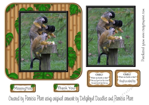 OMG Monkeys Thank You or Missing You Funny Card Topper 