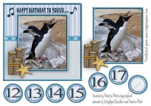 Funny Singing Penguin Birthday Card Topper ages12 to 17and blank