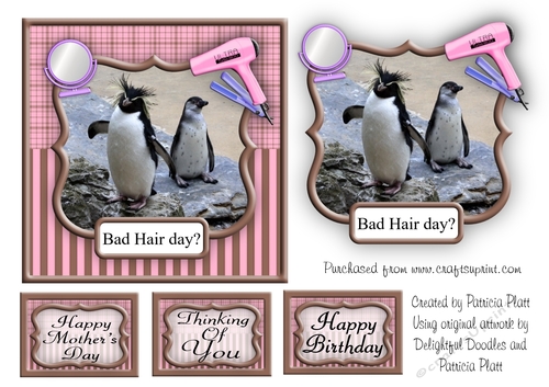 Funny Penguins Bad Hair Day various Occasions Card Topper