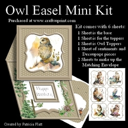 Owl Easel Mini Kit