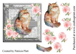 Cute Kitten and Pink Roses #2 6x6