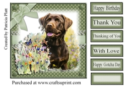 Spring Time Lab in Green
