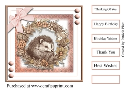 Lovely Hedgehog