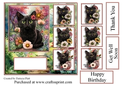 7x7 Black Cat Floral Path