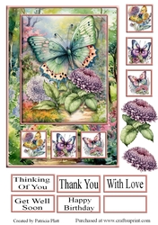 A5 Rainbow Butterflies Floral Path