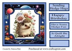 7x7 Birthday Hedgehogs #3