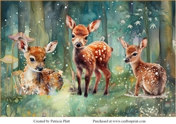 Wild Life Deer Back Ground paper