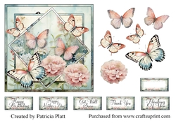 Butterflies and Flowers Square in Squares Various Occasions