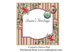 Cozy Christmas Seasons Greetings Insert