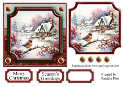 Christmas Bird Winter Scene Topper 6x6