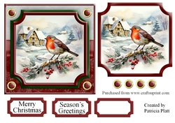 Christmas Robin Winter Scene Topper 2 6x6