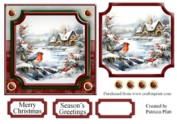 Christmas Bird Winter Scene Topper 3  6x6