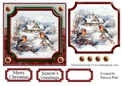 Christmas Birds Winter Scene Topper 5 6x6