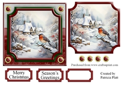 Christmas Bird Winter Scene Topper 6 6x6