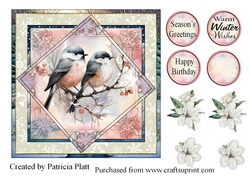 Winter Birds 7x7 Square in squares