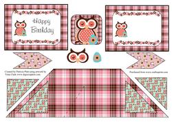 Criss Cross Pocket Owl Birthday
