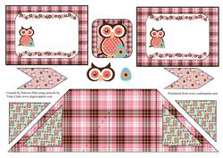 Criss Cross Pocket Owl