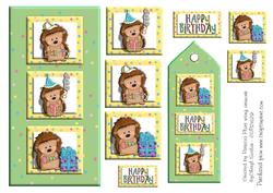 Hedgehogs Birthday Dl Topper and Bookmark