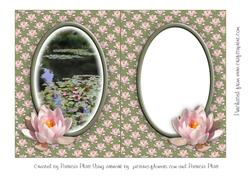 Pink Water Lily Blank Insert
