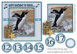 Funny Singing Penguin Birthday Card Topper ages12 to 17and blank