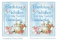 Birthday Wishes To a Very Special Grandmother/Grandma Topper