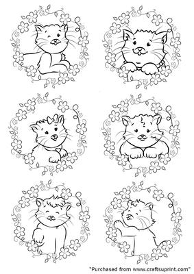 6 Cute Kittens and Floral Borders