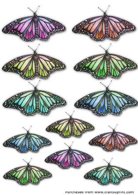 12 Butterflies