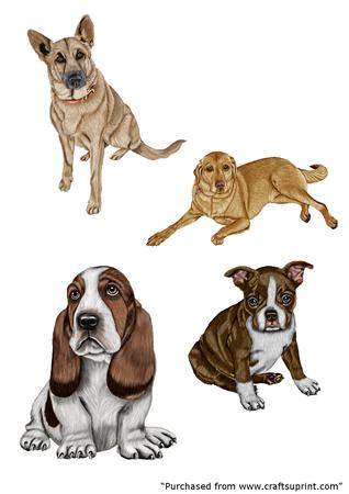 Set of 4 Dogs