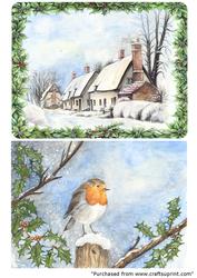 2 Winter Snow Scenes