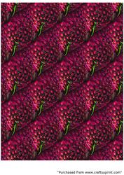Dare to Be Different Background