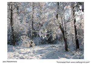 Winter Snow Scene 2