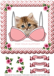 Support Bra Kitten