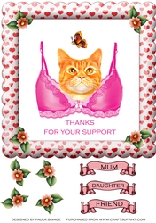 Support Bra Cat