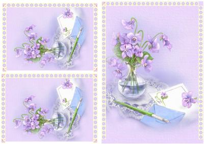 Lavenda Flowers