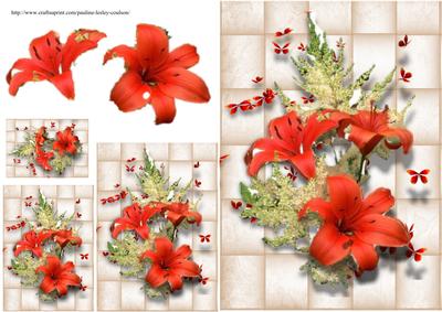 Christmas Flower