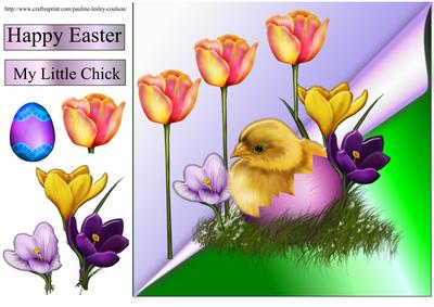 My Little Chick