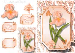 Peach Iris Mothers Day / Birthday