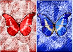 Butterfys